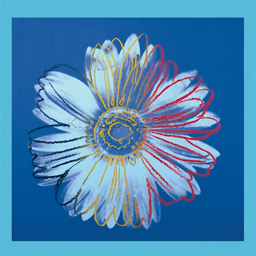 Daisy, c.1982 (blue on blue)