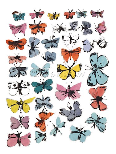 Butterflies, 1955 (many/varied colors)