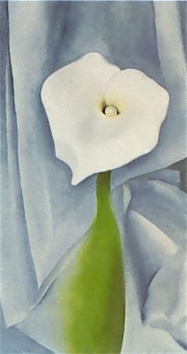 Calla Lily on Grey, 1928
