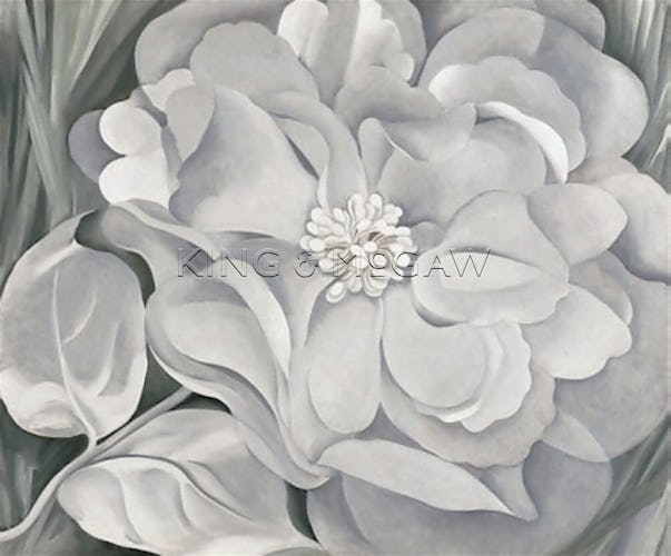 The White Calico Flower, 1931