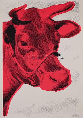 Cow, 1976 (Special Edition)