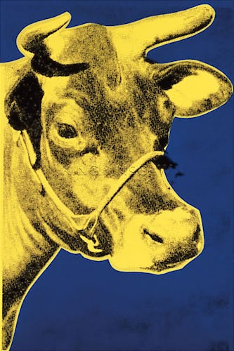 Cow, 1971 (blue & yellow)