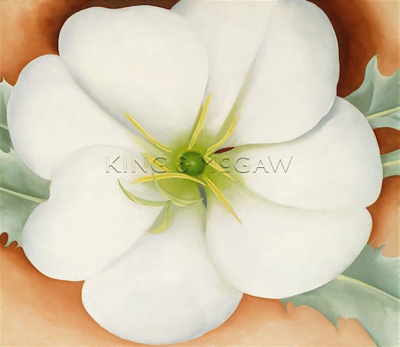 White Flower on Red Earth, No. 1