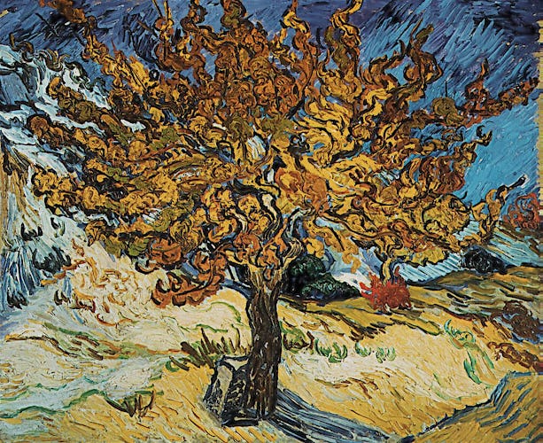 Mulberry Tree, 1889