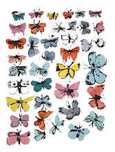 Butterflies, 1955 (many/varied colors)