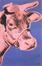 Cow, 1976 (pink & purple)