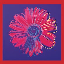 Daisy, c.1982 (blue & red)