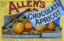 Allen's Chocolate Apricot