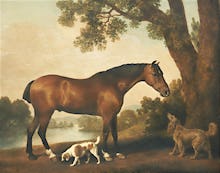 A Bay Hunter, a Springer Spaniel and a Sussex Spaniel, 1782