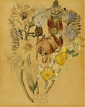 Mont Louis - Flower Study, 1925