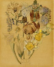 Mont Louis - Flower Study, 1925
