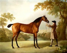 Tristram Shandy - A Bay Racehorse held by a Groom in an Extensive Landscape, c.1760