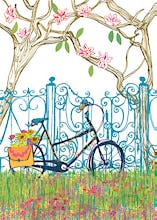 Magnolia Bicycle