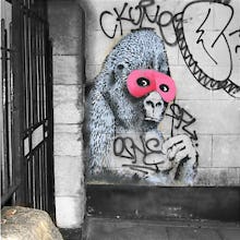 Banksy - Gorilla