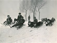 Children sledging, 1955