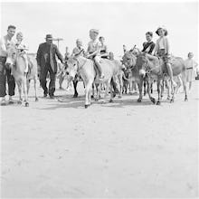 Donkeys on beach, Bognor 1959