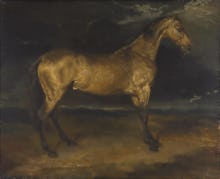 A Horse frightened by Lightning