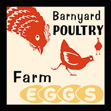 Barnyard Poultry-Farm Eggs