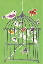 Bird on Cage