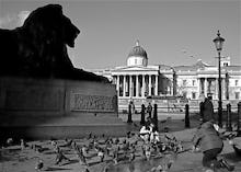 Brooding lion, Trafalgar Square