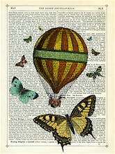 Butterflies and Balloon