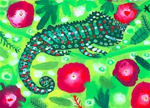 Green and Red Chameleon