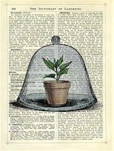 Plant Pot in Glass Cloche