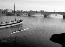 Scullers up to Putney Bridge