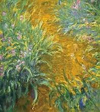 The Path in the Iris Garden