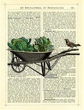 Wheelbarrow Lettuce and Bird