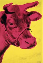 Cow, 1966 (yellow & pink)