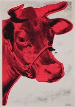 Cow, 1976 (Special Edition)
