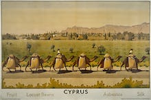 Empire Marketing Board - Cyprus