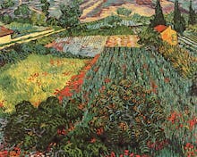 Field of Poppies, Saint-Remy, c. 1889