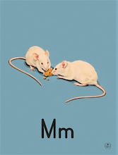 M is for mice