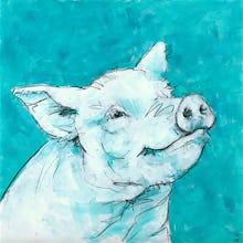Pig on Turquoise