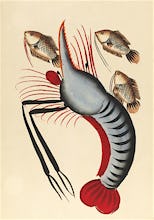 Prawn with three fishes, c.1940