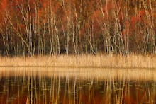 Reflection of Autumn