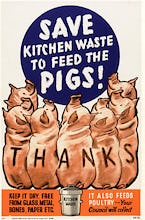 Save Kitchen Waste to Feed the Pigs!
