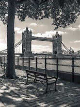 Tower Bridge and Bench