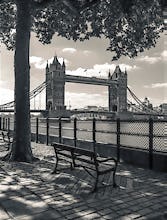 Tower Bridge and Bench