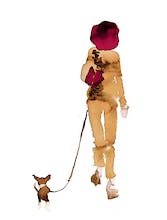 What to Wear When Walking the Dogs 15