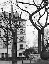 Winter Trees - Rue St-Julien le Pauvre, Paris 1963