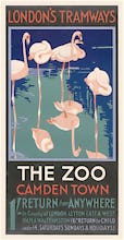 The Zoo Camden Town 1 Shilling Return From Anywhere