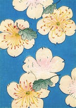 Dogwood Blossoms on Blue, 1882