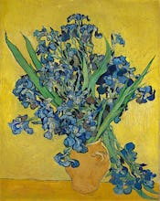 Irises, Saint-Rmy-de-Provence, 1890