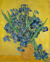 Irises, Saint-R�my-de-Provence, 1890