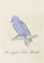 The Light Blue Bird