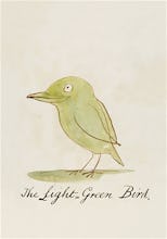 The Light Green Bird
