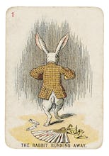 The Rabbit Running Away